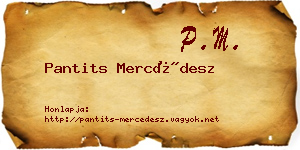 Pantits Mercédesz névjegykártya